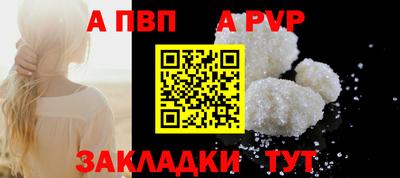 индика Гай