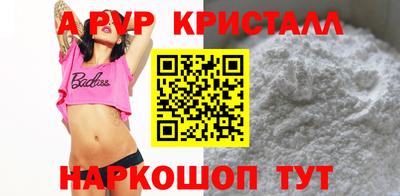 индика Гай